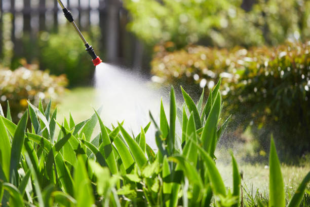 24/7 Emergency Fumigation Services experts in Ohioville, PA