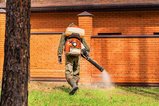 Trusted Ant Control service in Ohioville, PA - Nex Pest Control